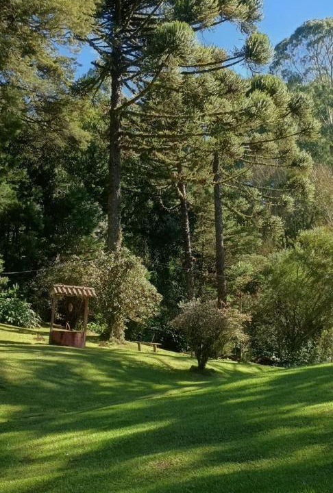 Photo of Others in Sao Francisco de Paula