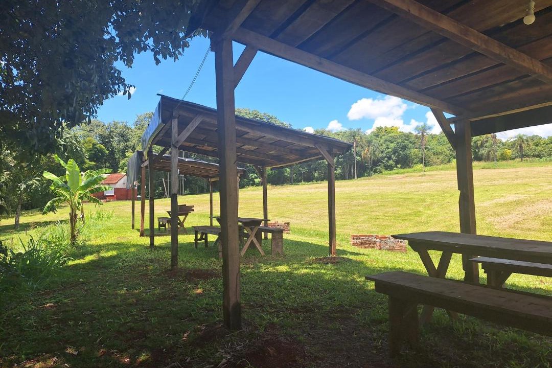 Photo of Others in Puerto Rico