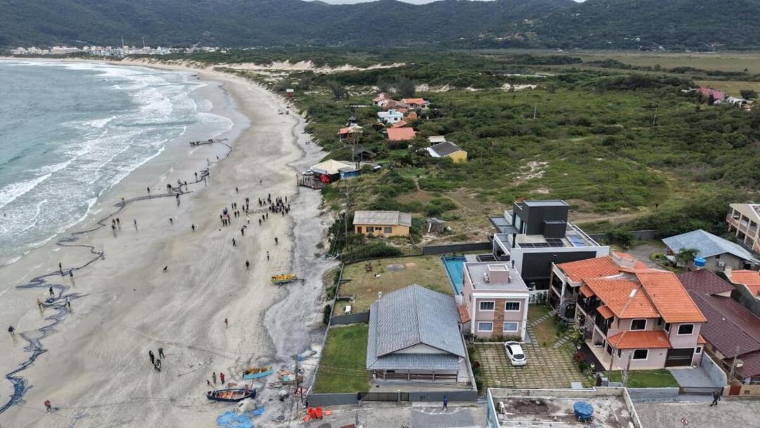 Photo of Others in Pantano do Sul