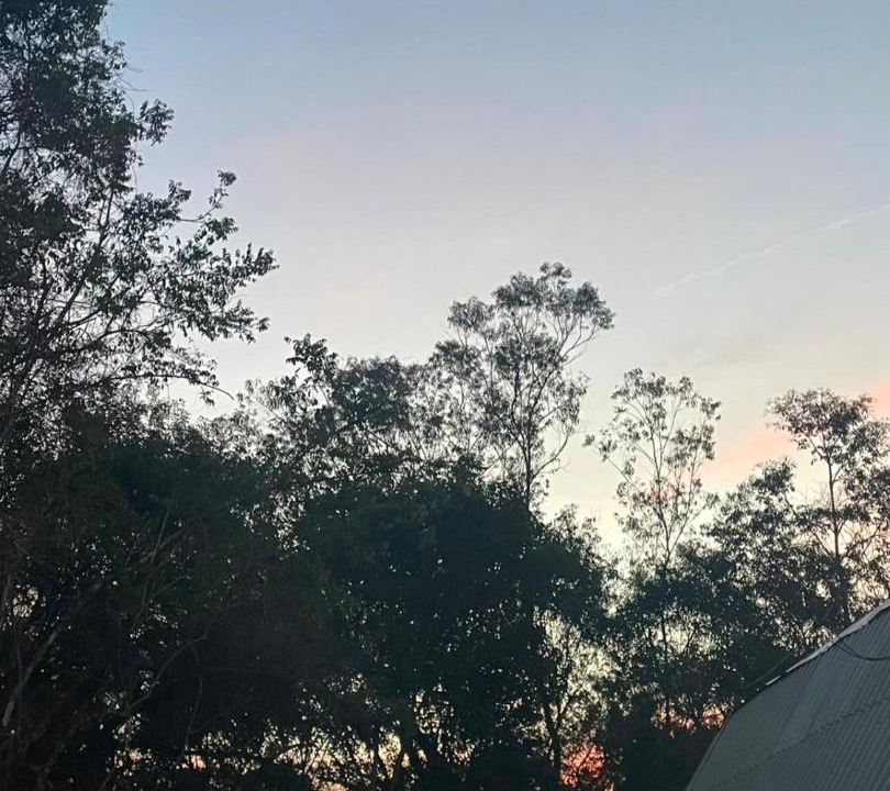 Photo of Outdoor in Campestre