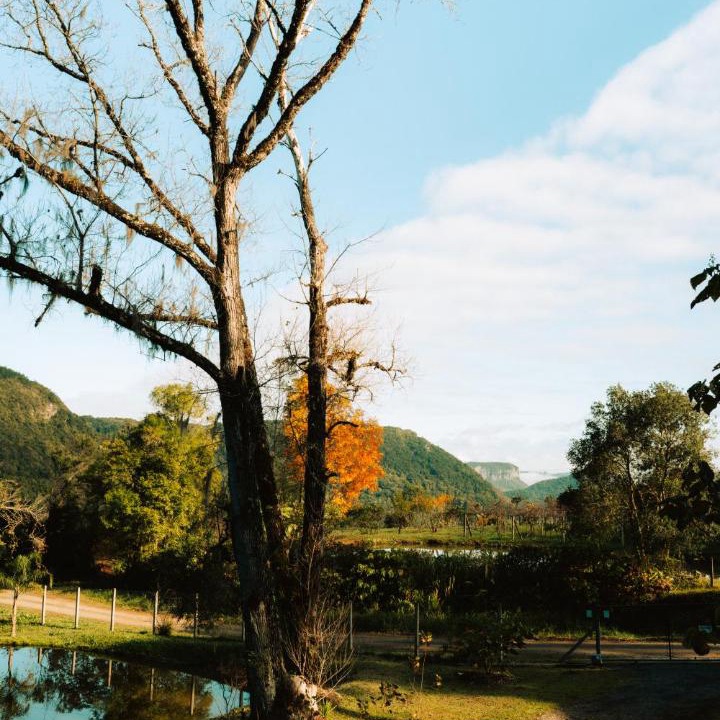 Photo of Others in Gramado