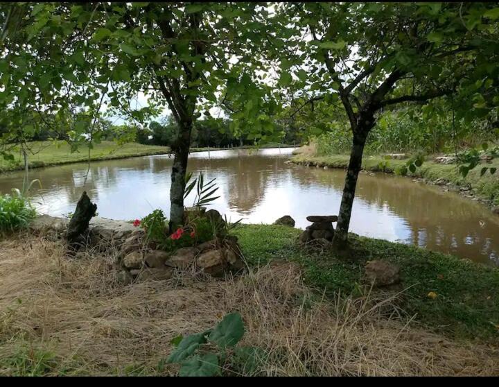 Photo of Others in Santa Maria do Herval