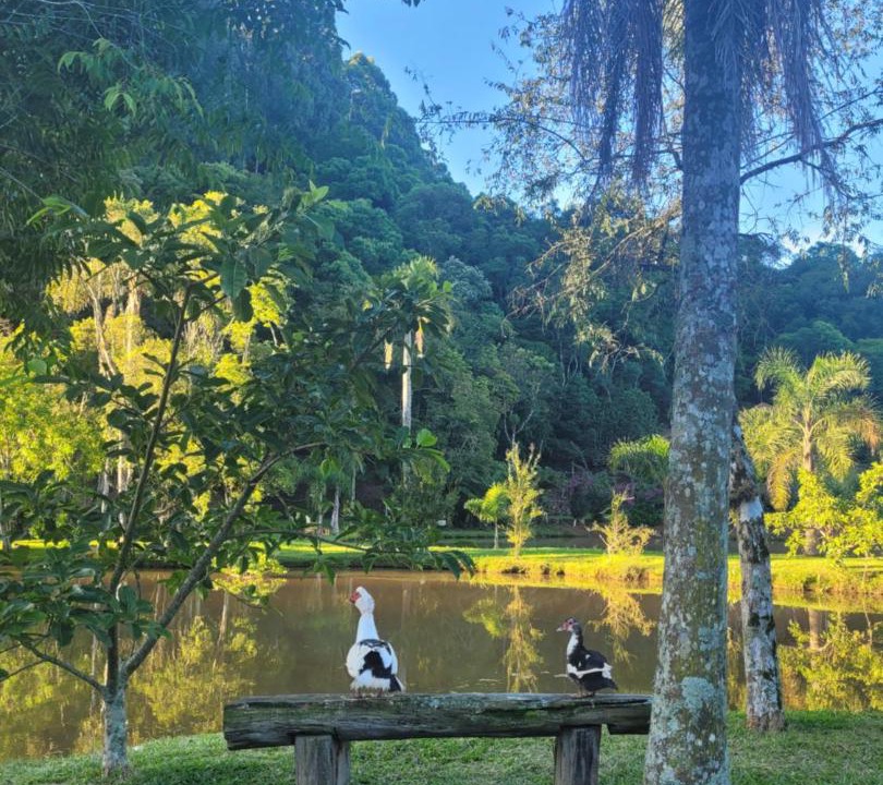 Photo of Others in Carlos Barbosa