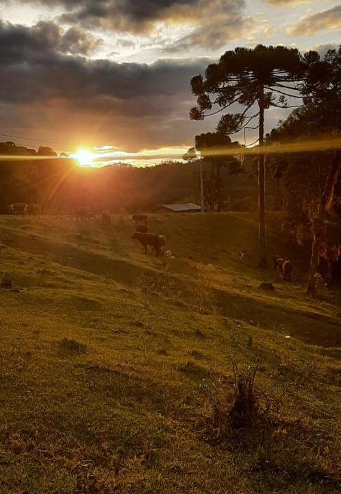 Photo of Others in Urubici