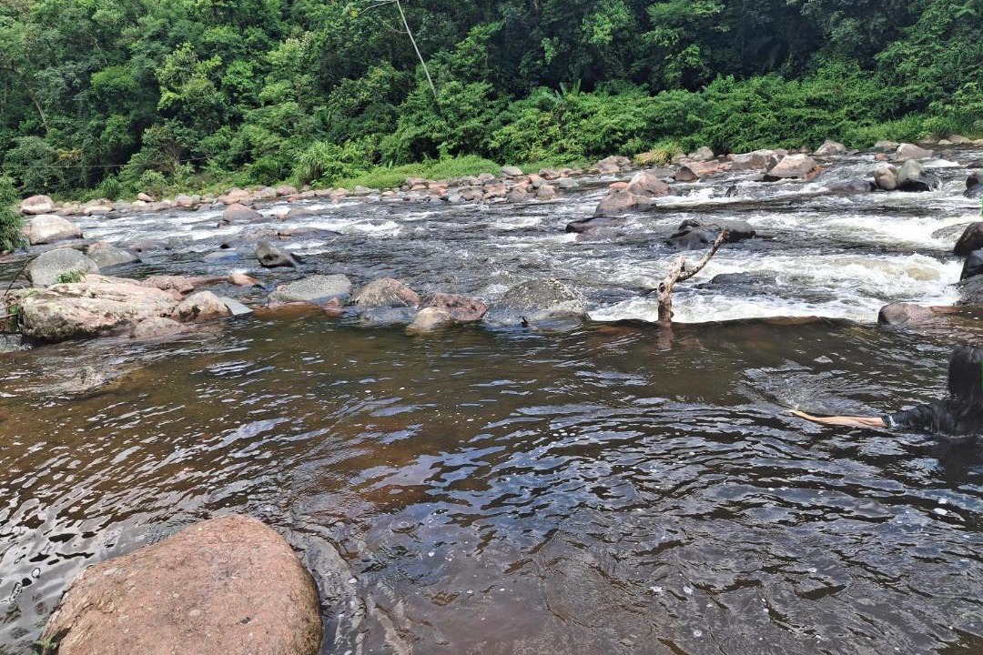 Photo of Others in Joinville