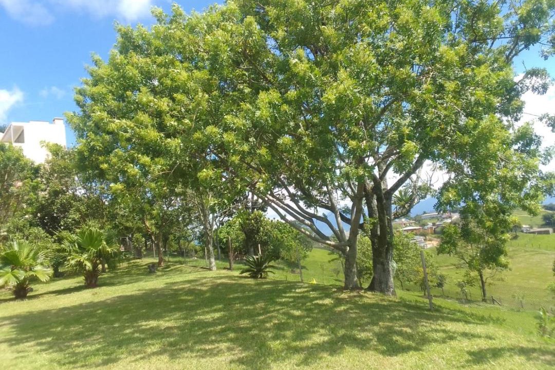 Photo of Outdoor in Sideropolis
