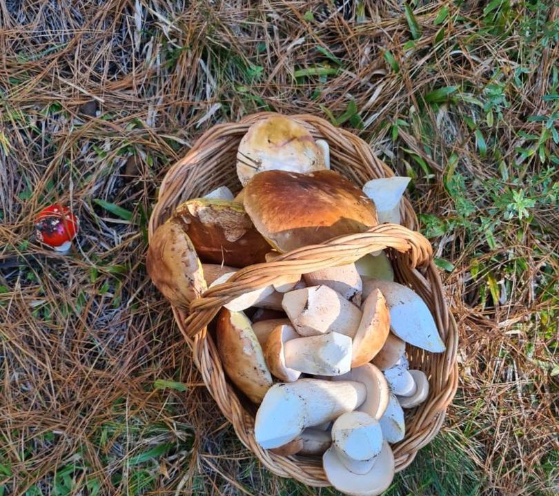 Photo of Others in Cambara do Sul