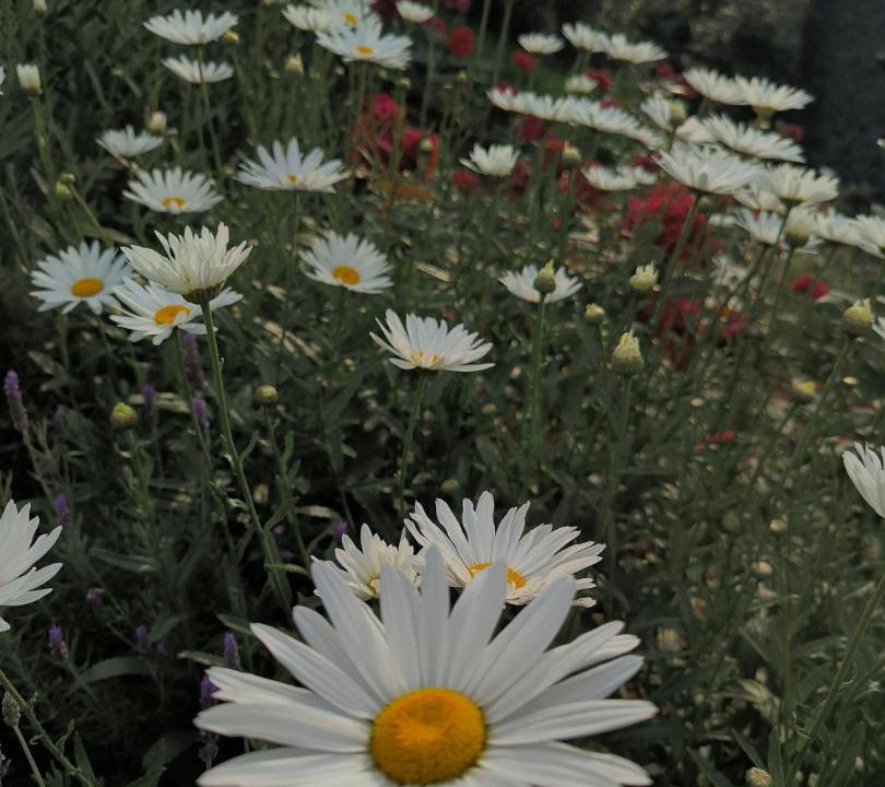 Photo of Outdoor in Bento Goncalves