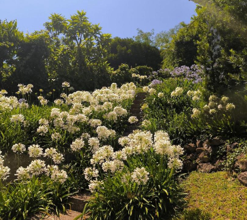 Photo of Outdoor in Bento Goncalves