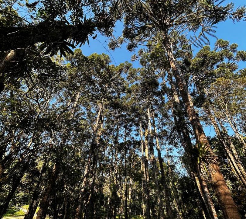 Photo of Outdoor in Nucleo Maua