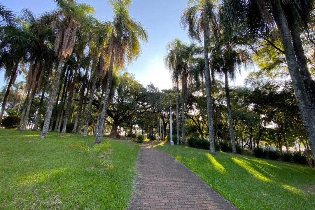 Photo of Others in Parque das Palmeiras