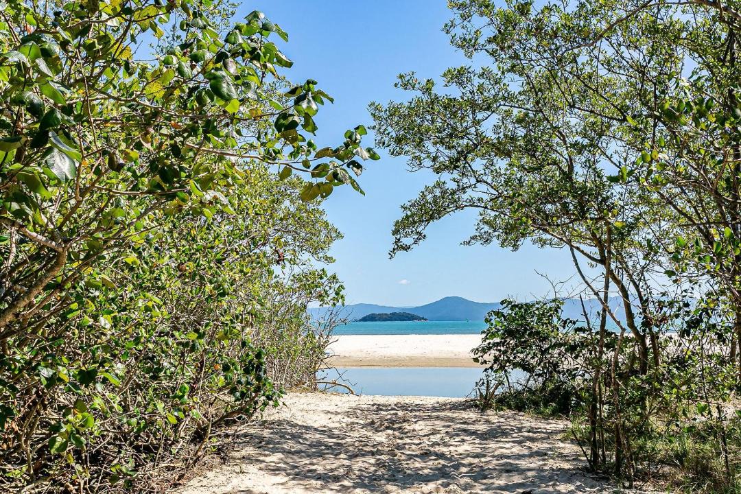 Photo of Others in Ponta das Canas