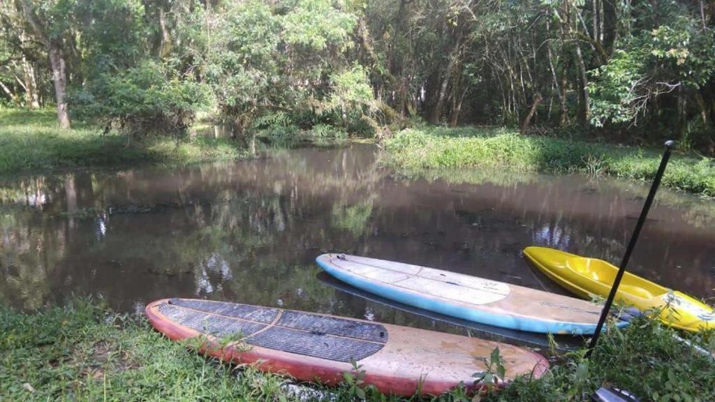 Photo of Others in Campo Largo