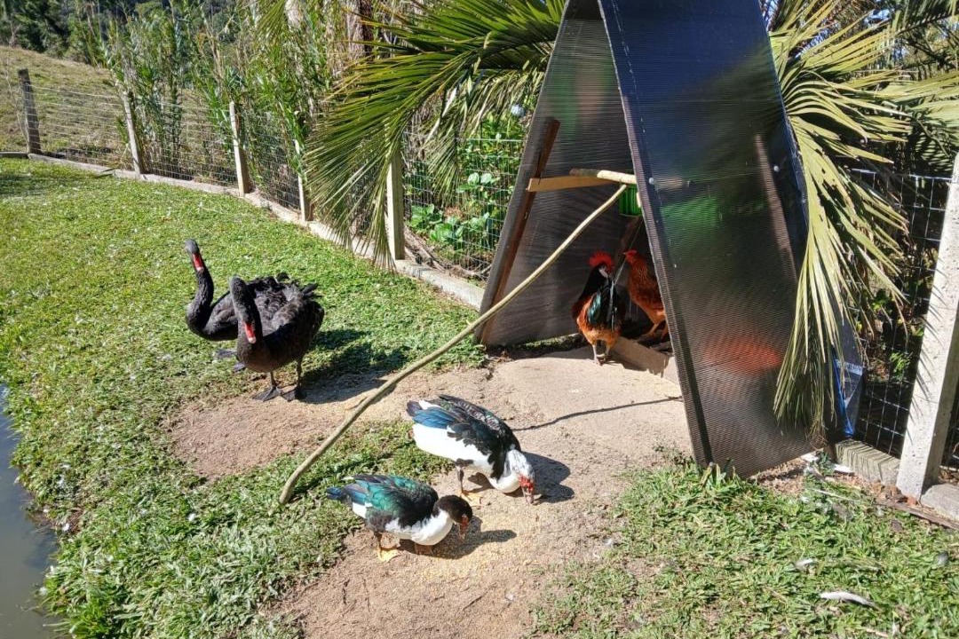 Photo of Others in Antonio Carlos