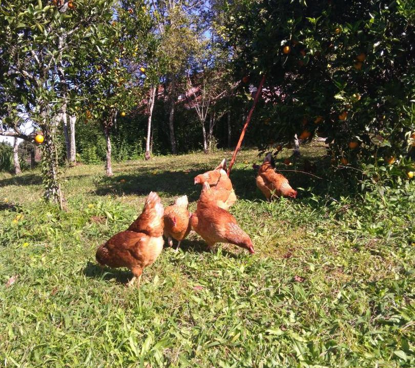 Photo of Others in Ivoti