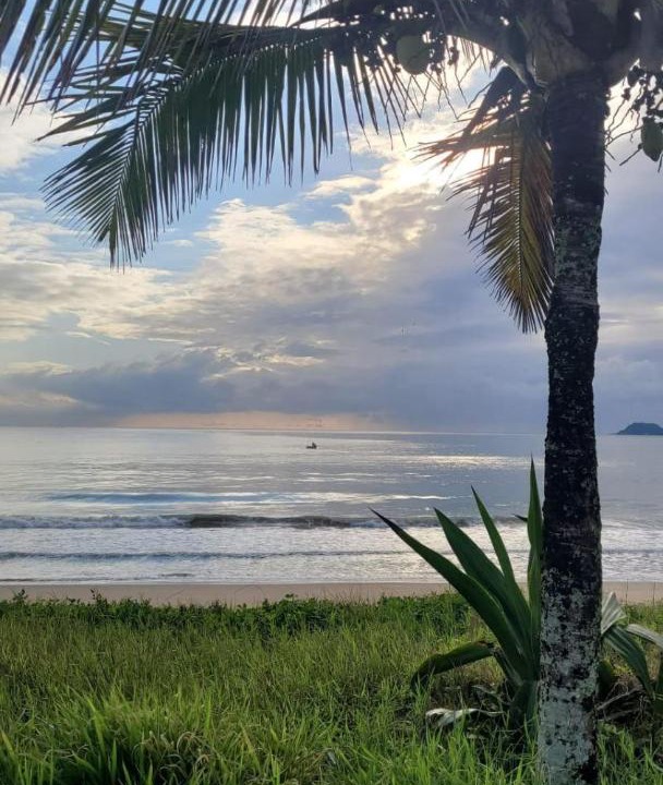 Photo of Others in Praia da Armacao do Itapocoroi