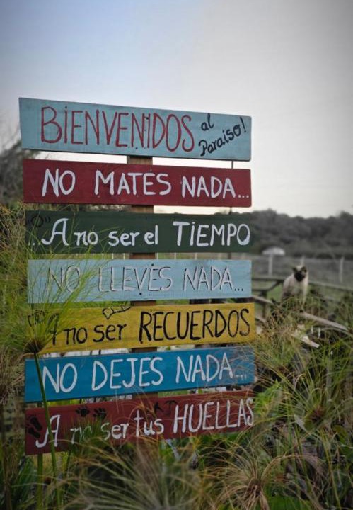 Photo of Others in Puerto Esperanza