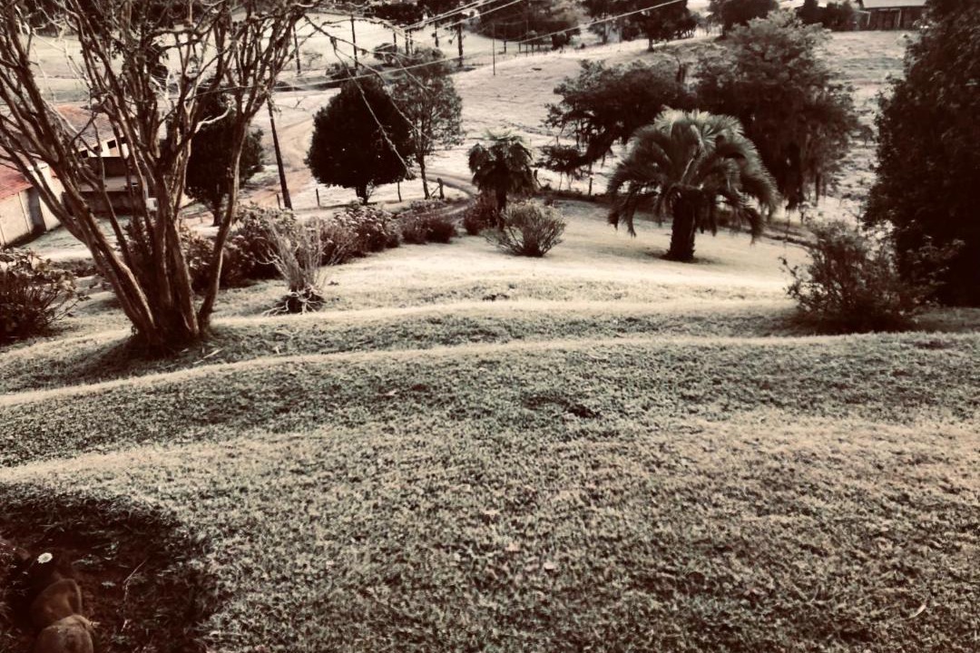 Photo of Others in Urubici