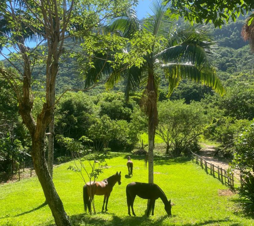 Photo of Others in Muquem