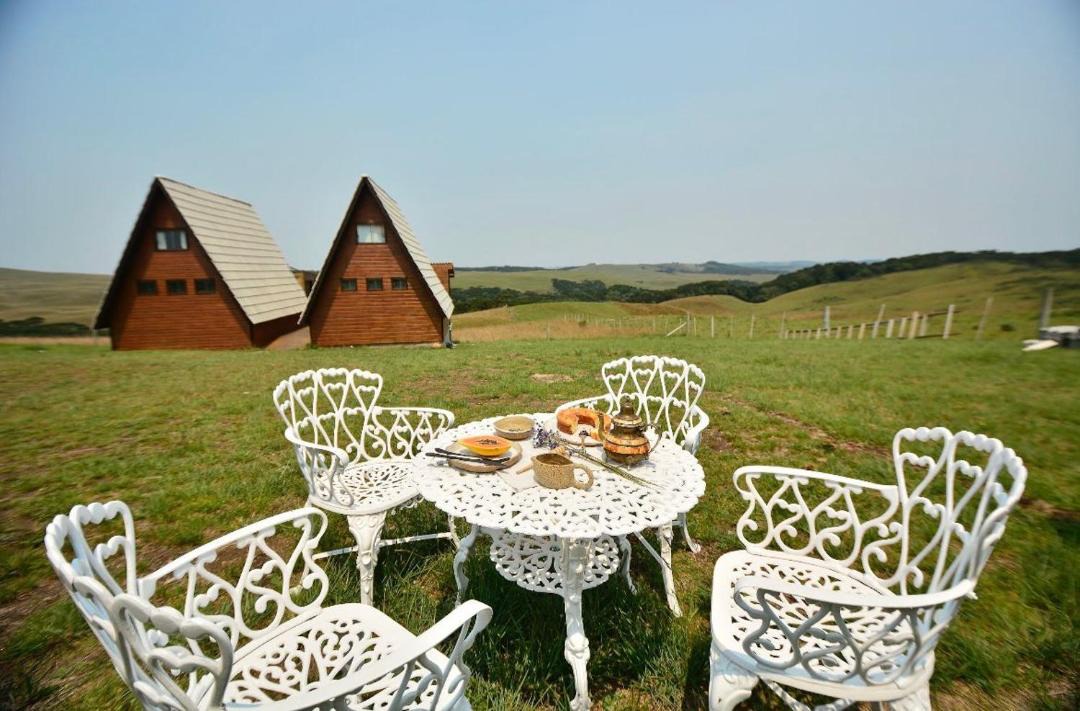 Photo of Others in Cambara do Sul