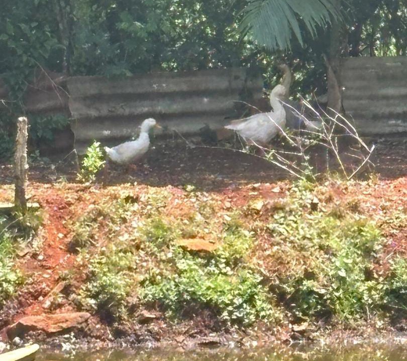 Photo of Others in Foz do Iguacu