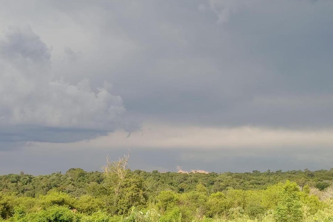 Photo of Others in Puerto Iguazu