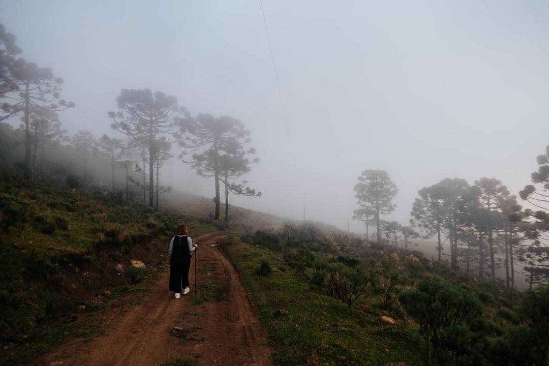 Photo of Others in Urubici