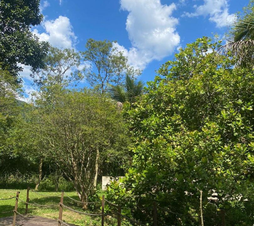 Photo of Others in Guapimirim