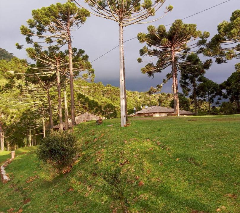 Photo of Others in Bom Jardim da Serra