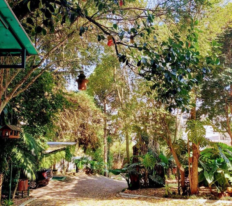 Photo of Others in Merces