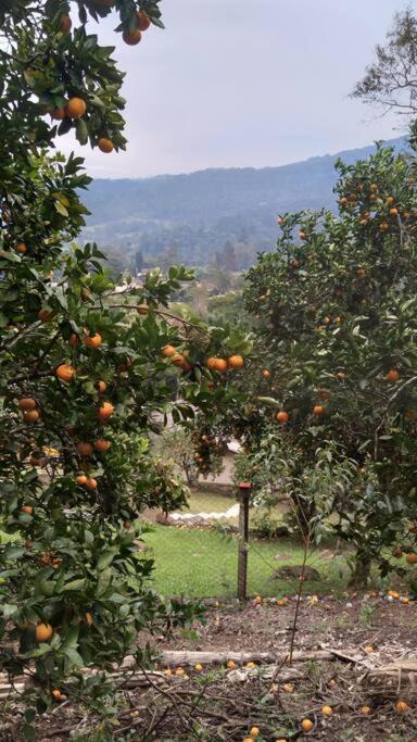 Photo of Others in Tres Coroas
