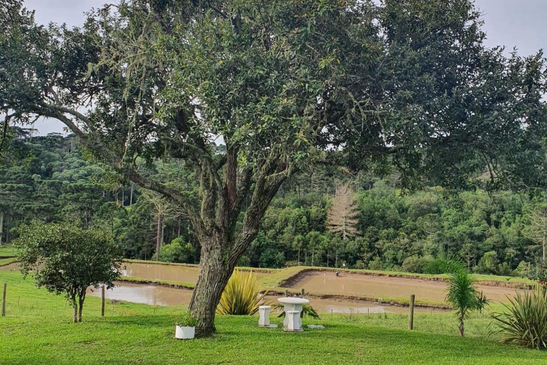 Photo of Others in Bocaina do Sul