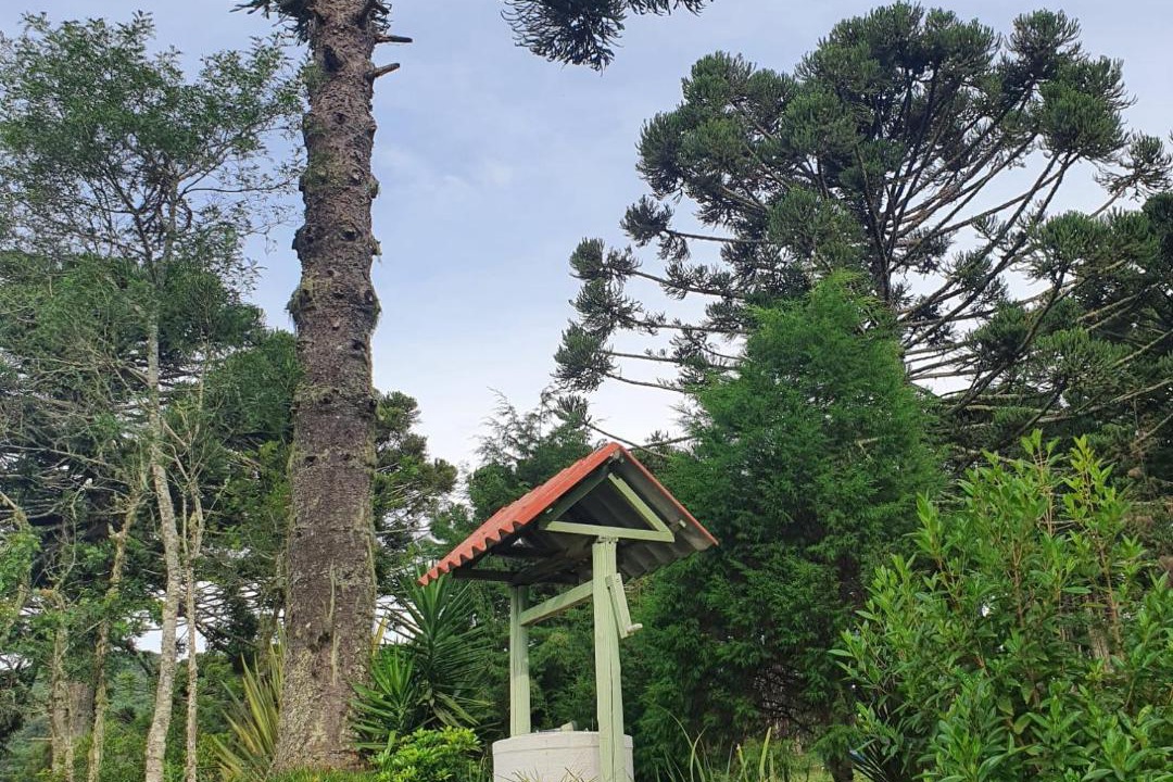 Photo of Others in Bocaina do Sul