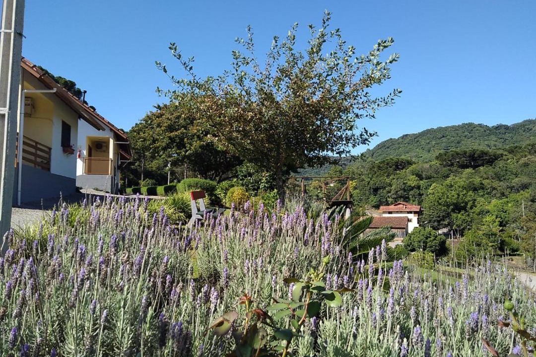 Photo of Others in Nova Petropolis