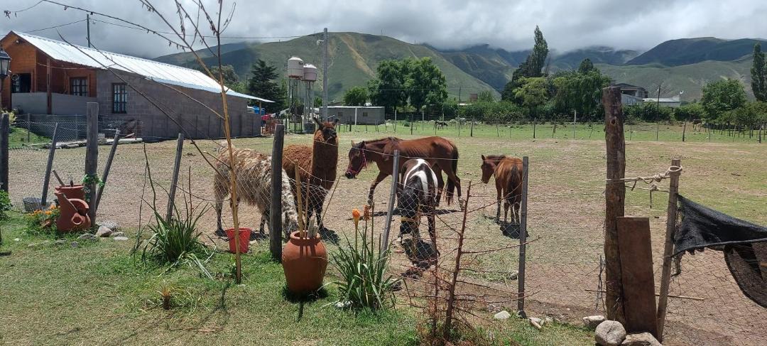 Photo of Others in El Mollar