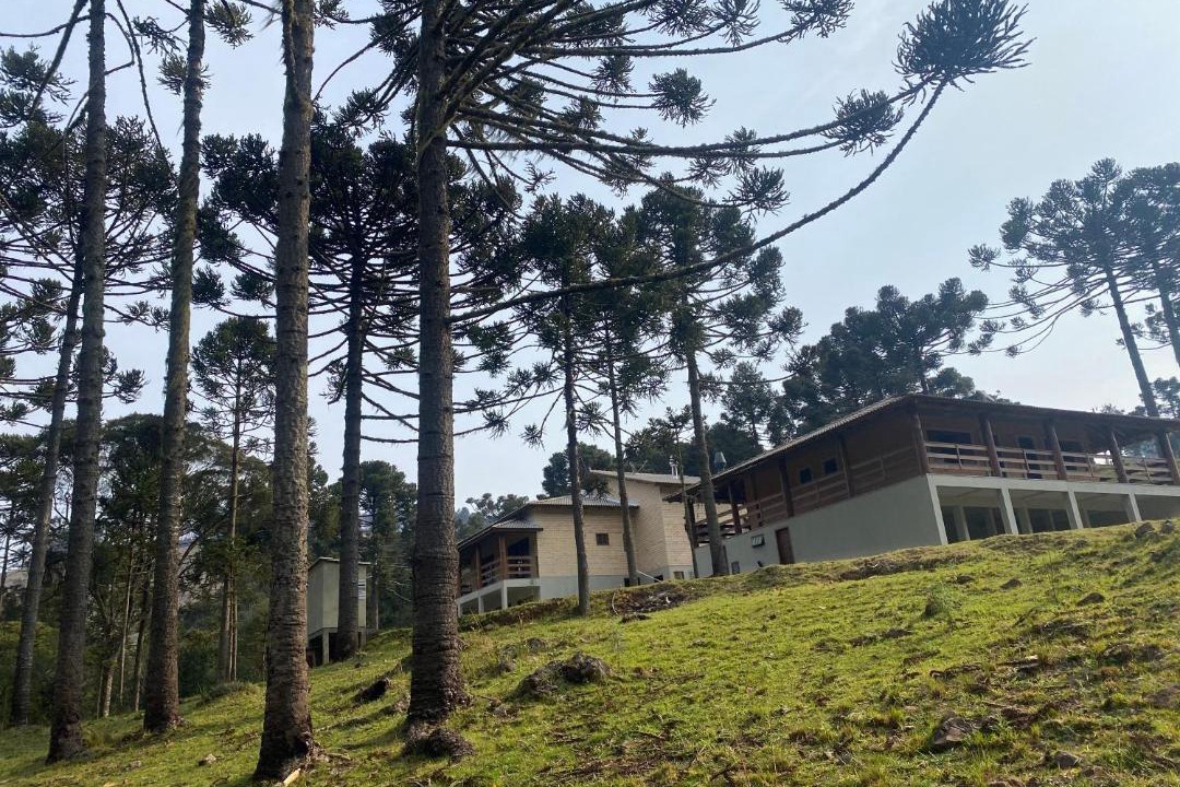 Photo of Others in Bom Jardim da Serra