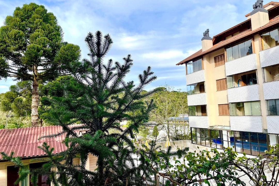 Photo of Others in Floresta