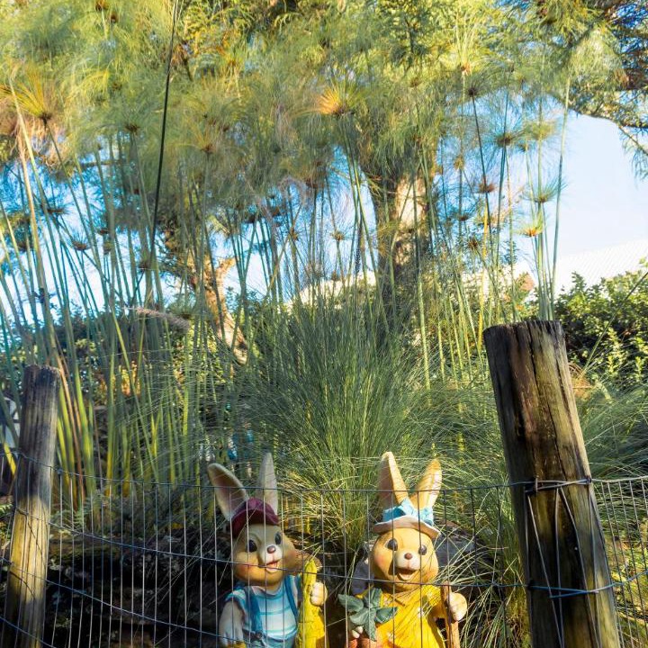 Photo of Others in Nova Petropolis