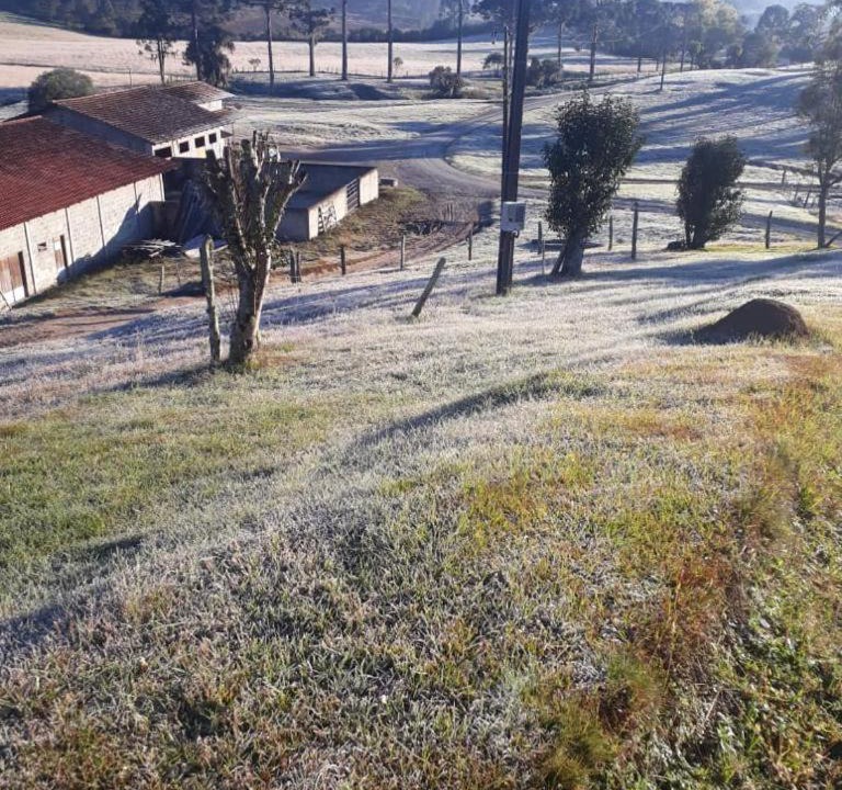 Photo of Others in Urubici