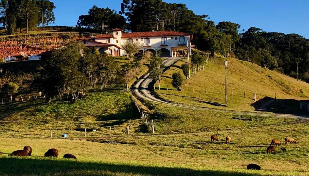 Photo of Others in Urubici