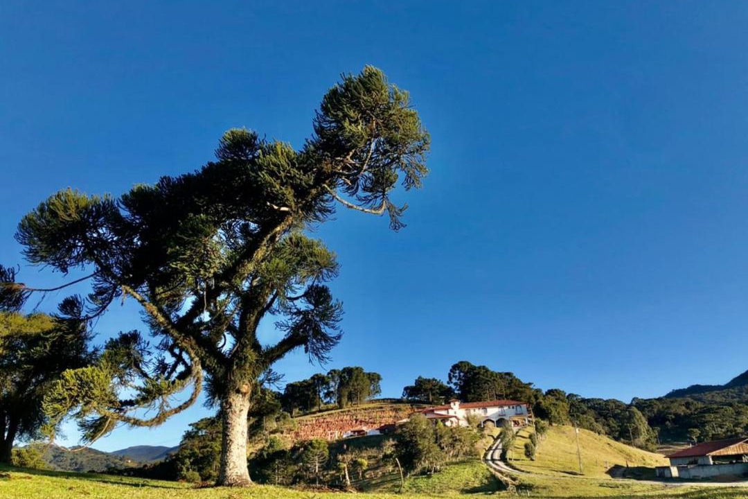 Photo of Others in Urubici
