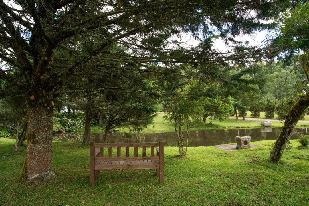 Photo of Others in Cambara do Sul