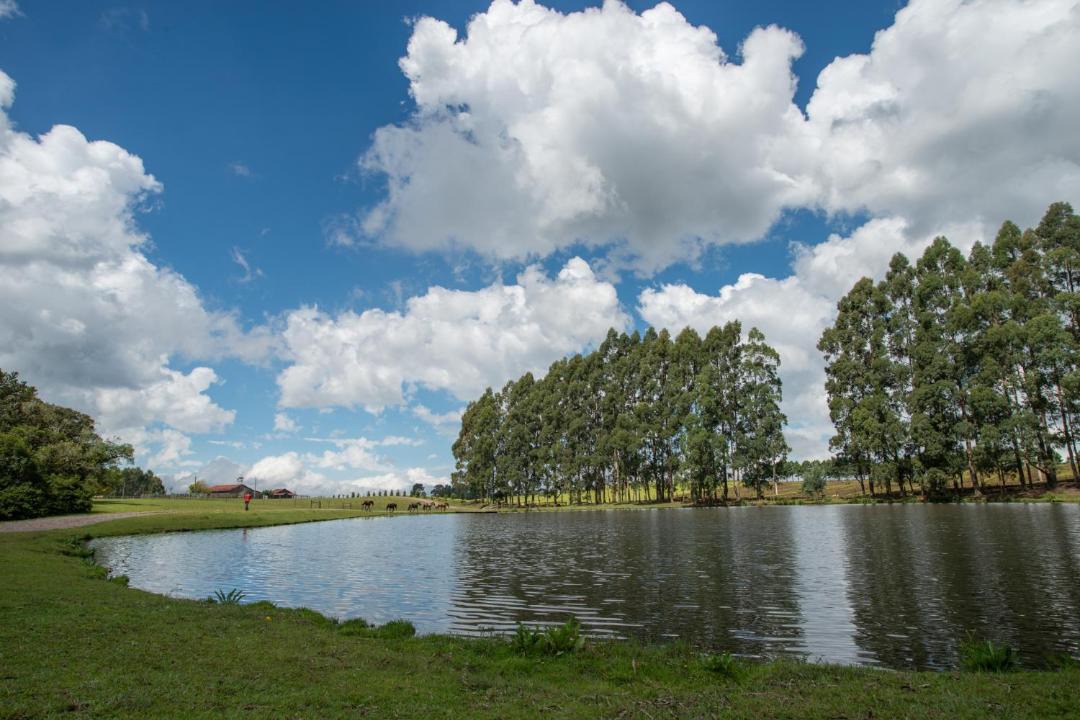 Photo of Others in Cambara do Sul