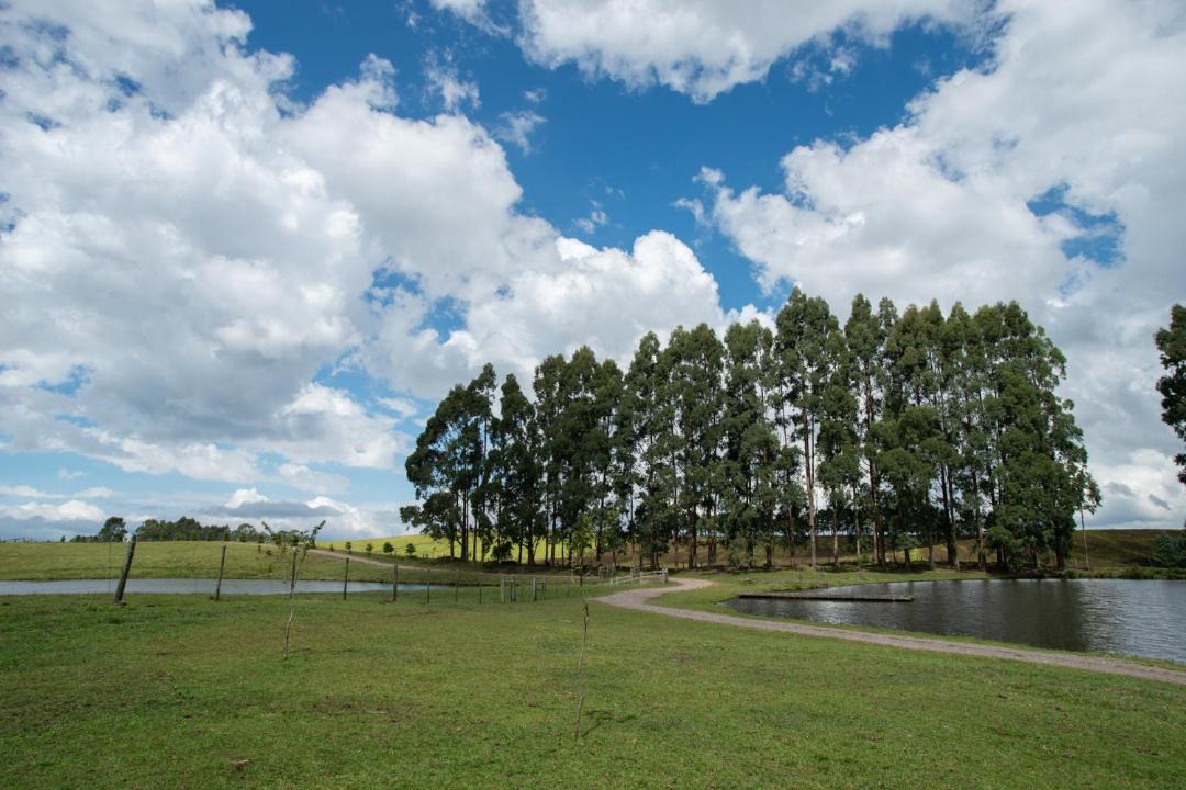 Photo of Others in Cambara do Sul