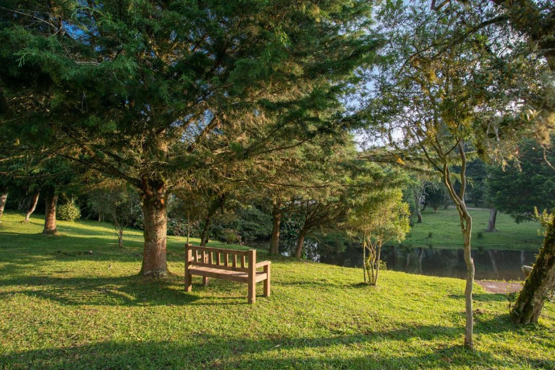 Photo of Others in Cambara do Sul