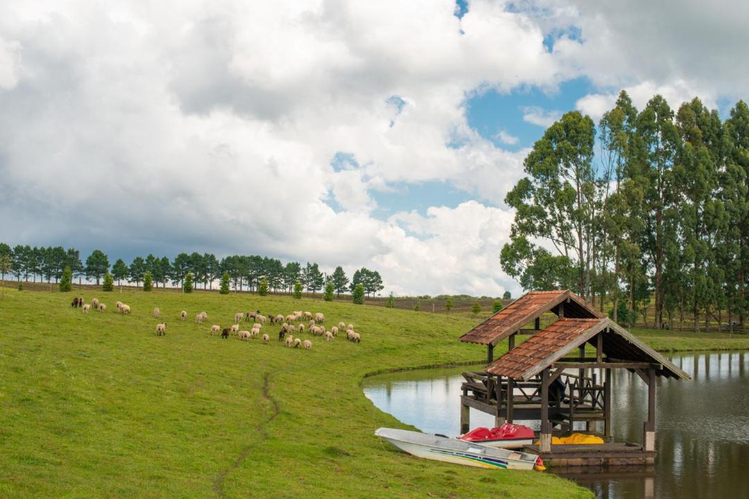 Photo of Others in Cambara do Sul