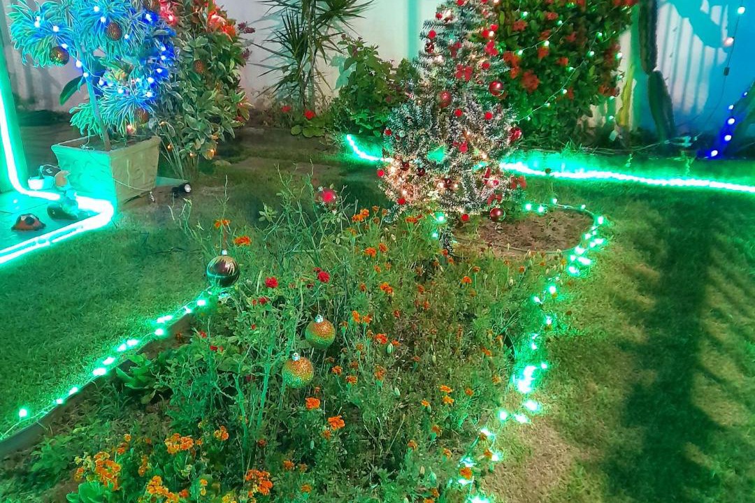 Photo of Others in Jardim Flamboyant
