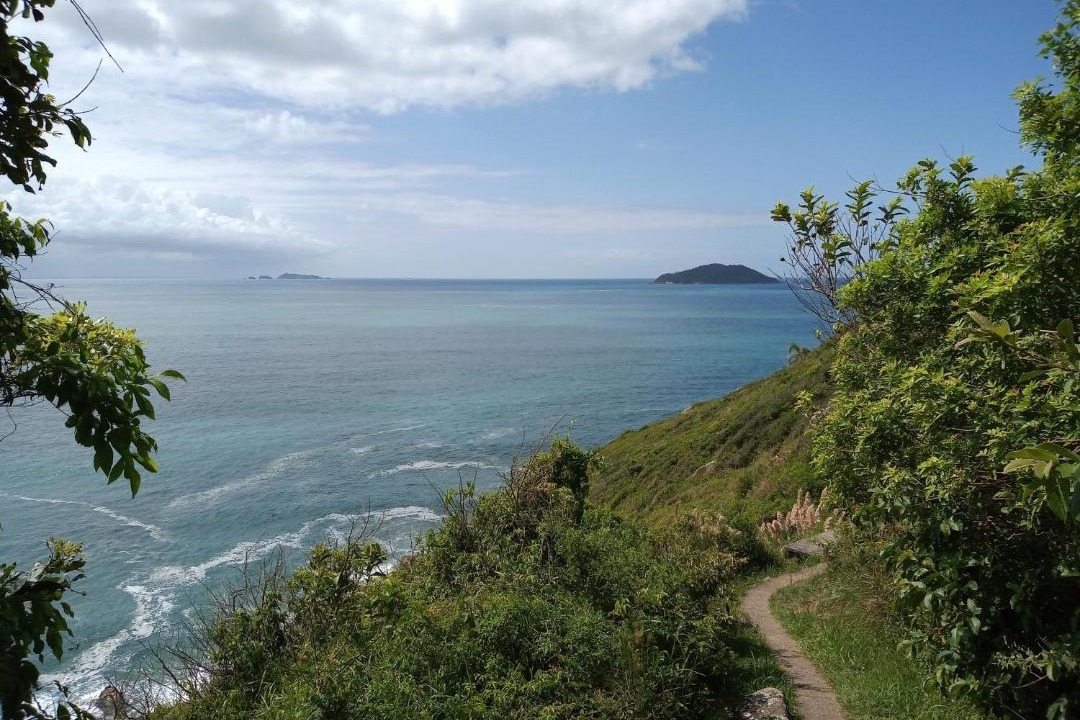 Photo of Others in Acores