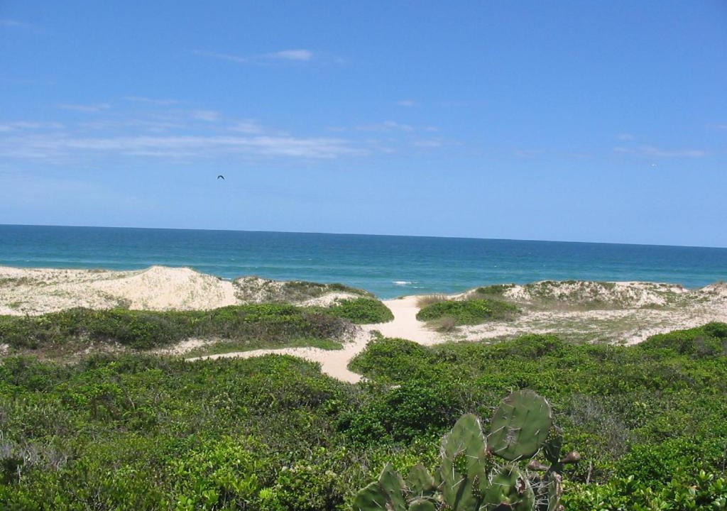 Photo of Outdoor in Lagoa Pequena