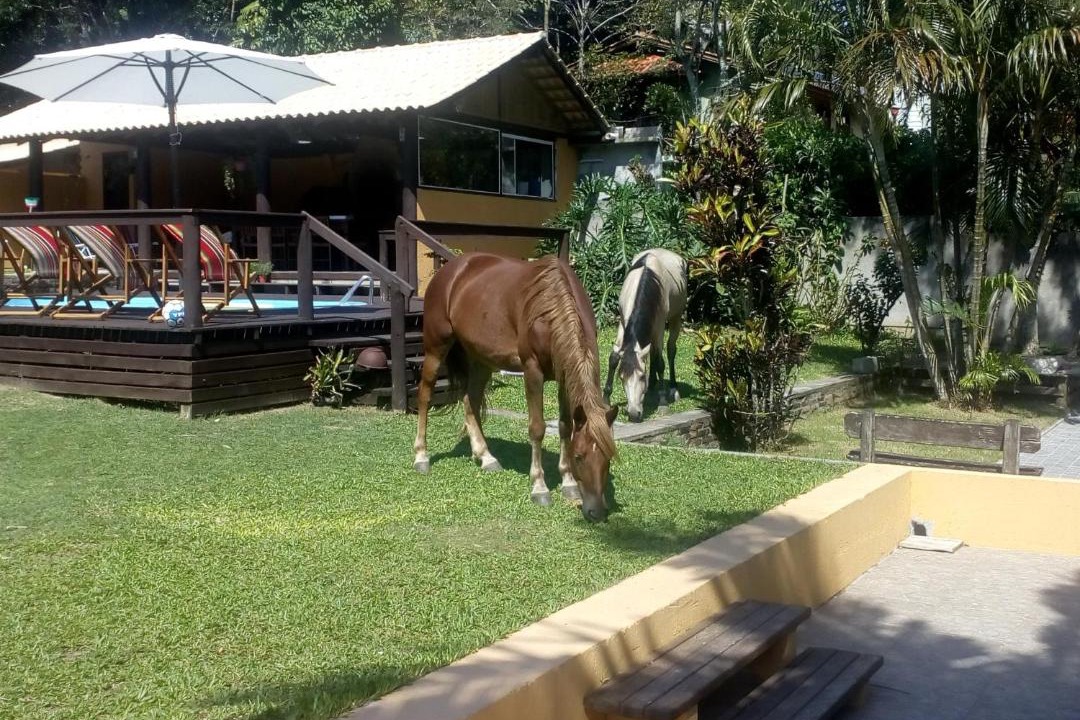 Photo of Others in Muquem